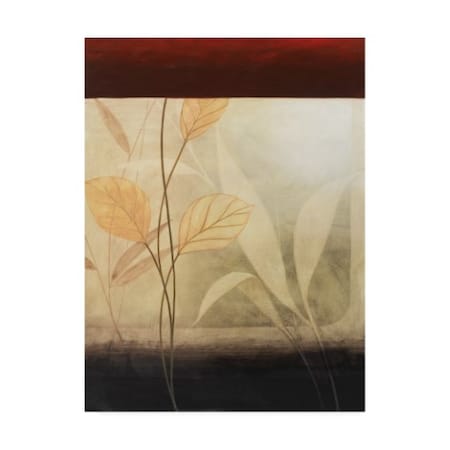 Pablo Esteban 'Leaves With A Border' Canvas Art,35x47